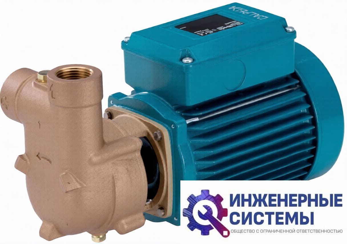 Calpeda B-CAM 60E насос поверхностный