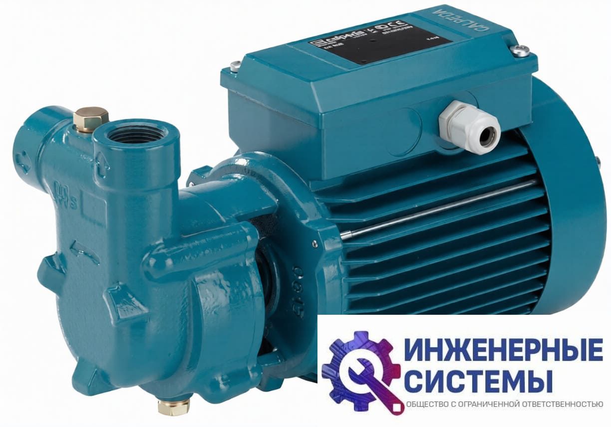 Calpeda CAM 60E насос поверхностный