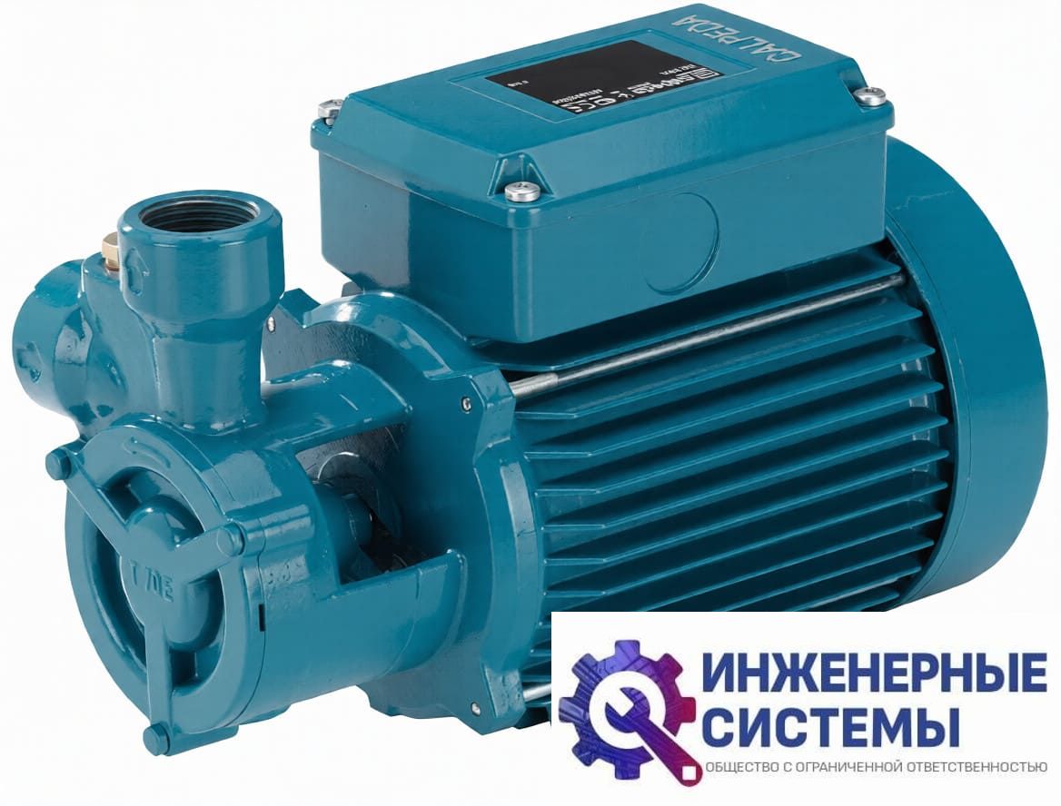 Calpeda TM 65E насос поверхностный
