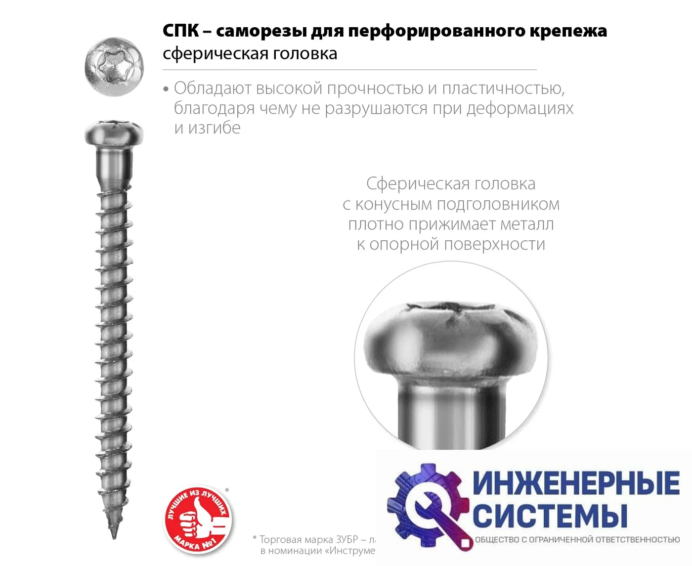 Зубр СПК 5х50 мм саморезы для перфорированного крепежа полусферическая головка белый цинк в коробке, фото 2