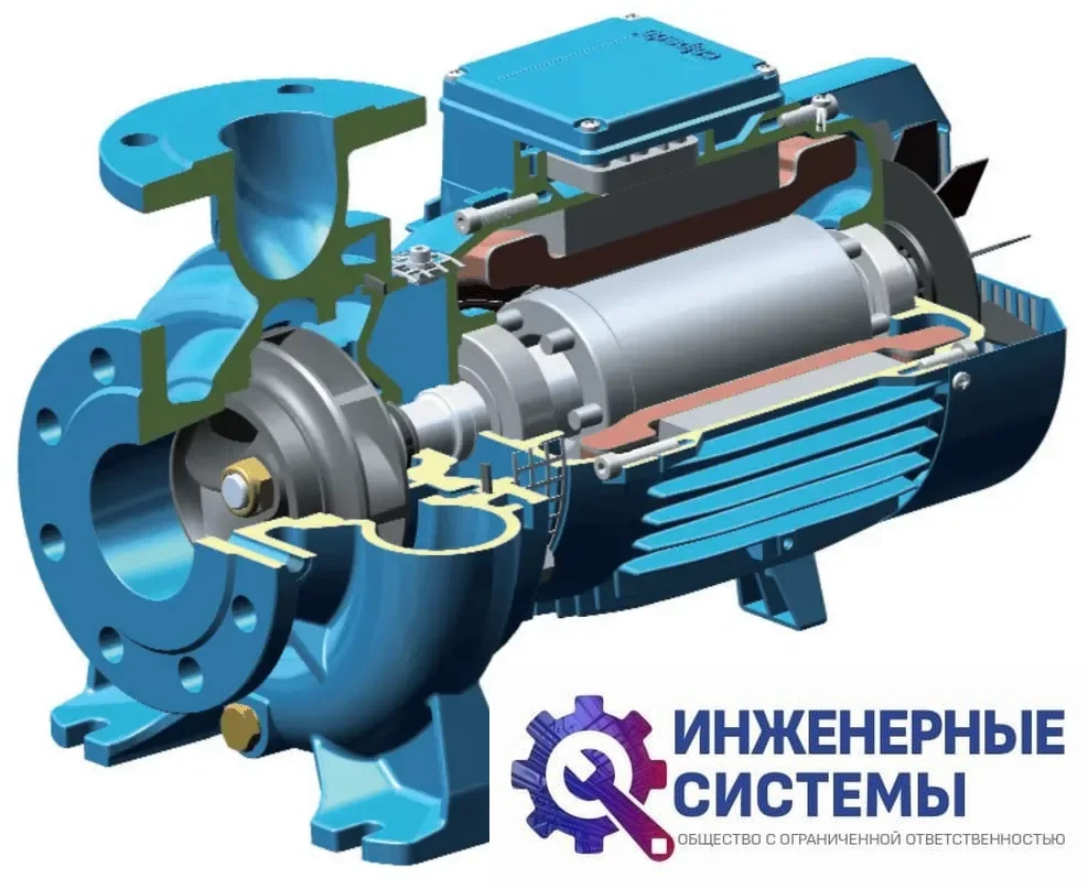 Calpeda B-NMS4 80/315S IE3 насос поверхностный, фото 2