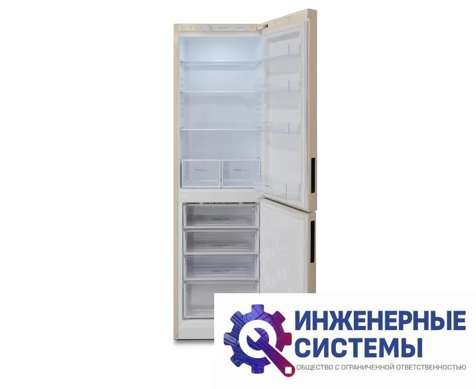 Бирюса G6049 двухкамерный холодильник, фото 2