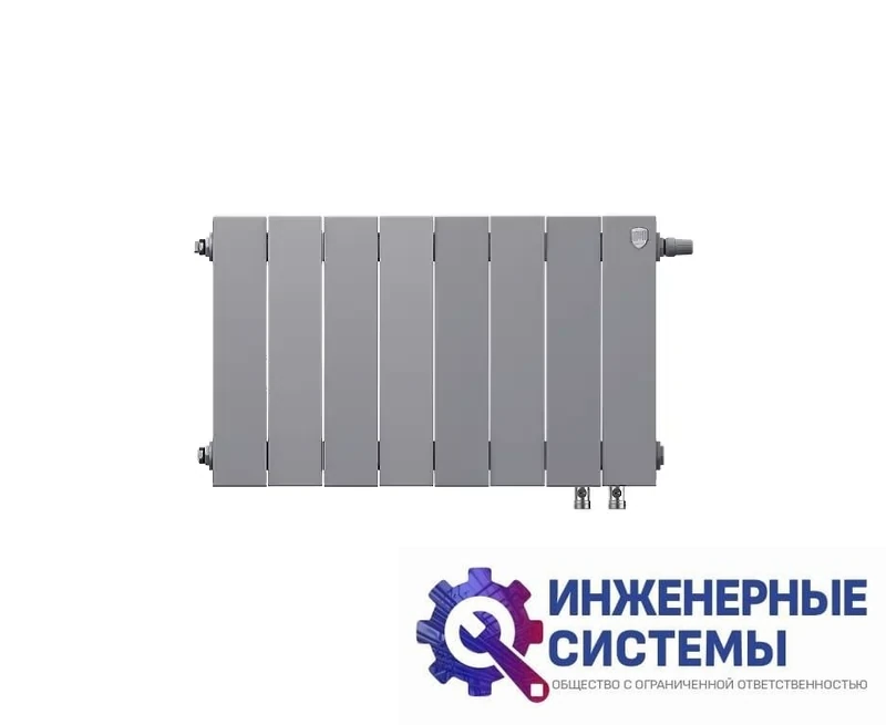 Радиатор Royal Thermo PianoForte 300/Silver Satin х14 VD, фото 2