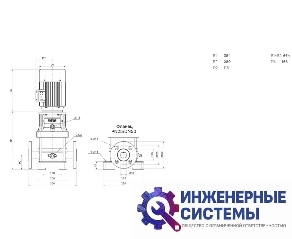 Onis MV 20-2 поверхностный насос, фото 2
