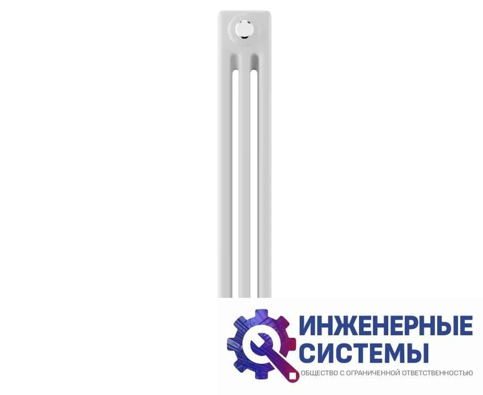 Royal Thermo Insignia C3050 - 10 секц. RAL9016 стальной радиатор, фото 2