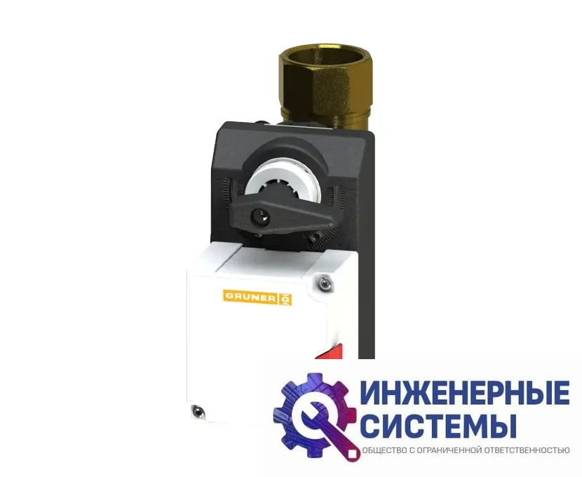 Gruner 227-024-15-S1/RUS электропривод, фото 2