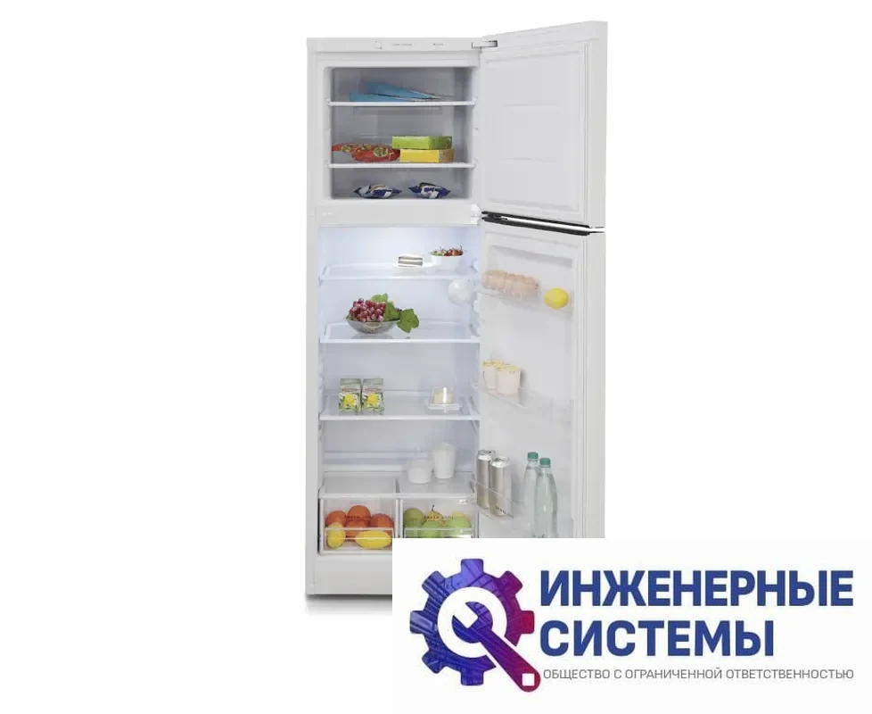 Бирюса 6039 двухкамерный холодильник, фото 2