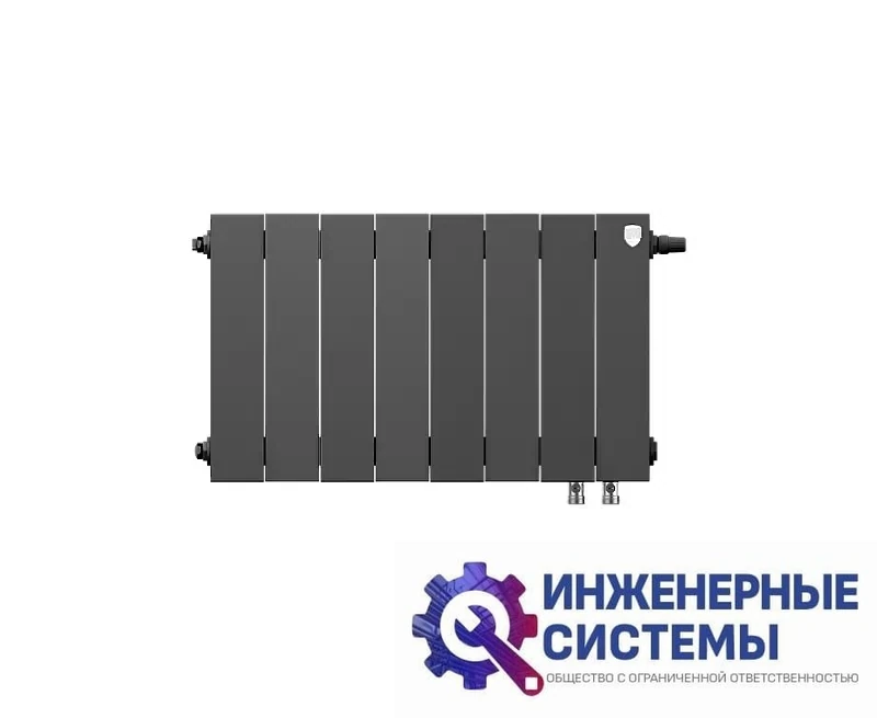 Радиатор Royal Thermo PianoForte 300/Noir Sable х12 VD, фото 2