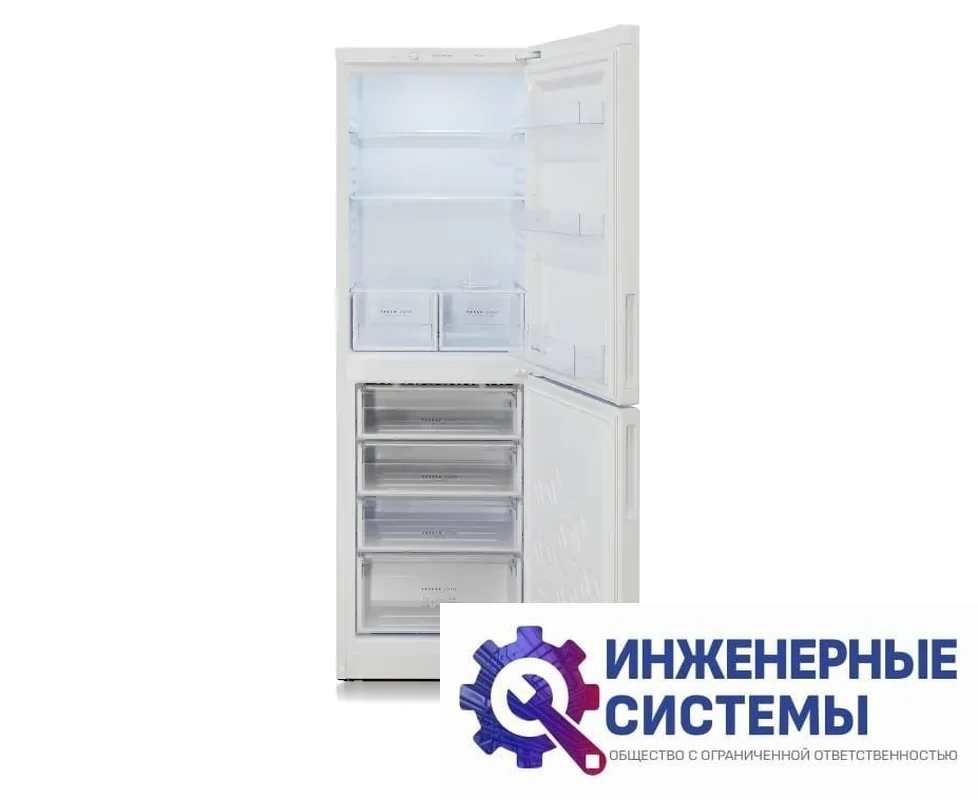 Бирюса 6031 двухкамерный холодильник, фото 2